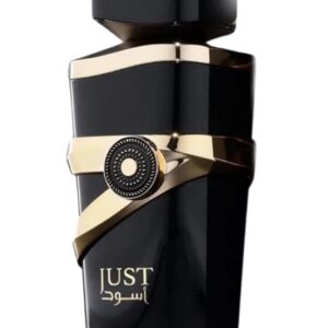 Fragrance World Just Aswad kvepalai vyrams 100ml EDP (įkvėpti Dior - Suavage Elixir)
